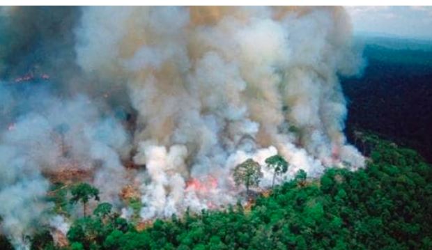 એમેઝોનના જંગલોની આગથી દક્ષિણ અમેરીકાના 9 દેશો ઝેરી ધુમાડાની ઝપેટમાં