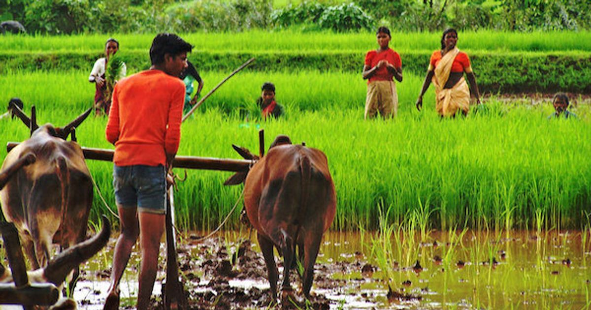 Maharashtra Government’s U-Turn on Farm Reform Laws