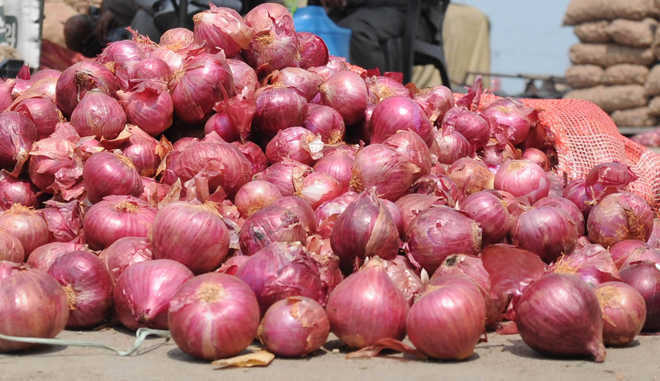 Relaxation on conditions of import of onions into India to counter high market prices