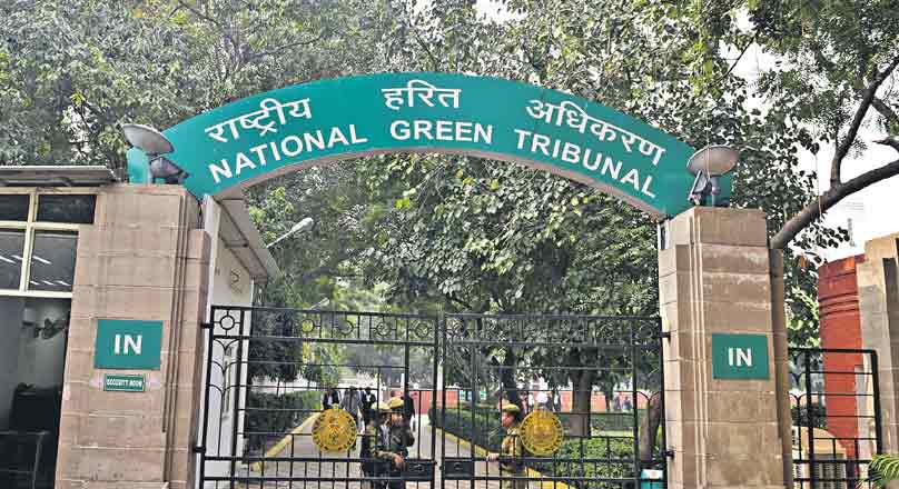 NGT extends ban on sale, use of firecrackers in Delhi-NCR