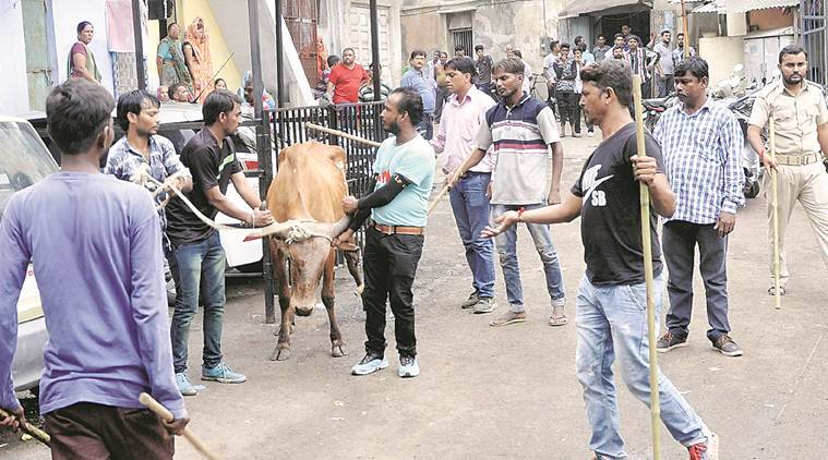 Delete Law on Seizure of Cattle Before Cruelty to Animals Proved: SC