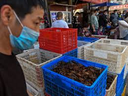 WHO Team Visits “Origin of Covid” Market in China