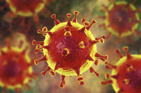 Computer image of a coronavirus