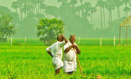 मोदी सरकार के दौरान किसानों की आय में हुई 60 प्रतिशत की वृद्धि : रमेश चंद