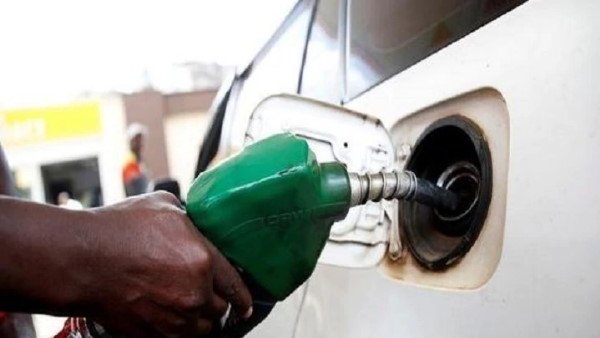 Petrol-Diesel Price : तेल कंपनियों ने जारी किए पेट्रोल-डीजल के दाम, जानिए आज के रेट
