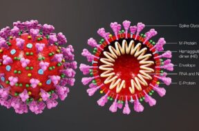 CoronavirusGlobalTelecon-1024×512