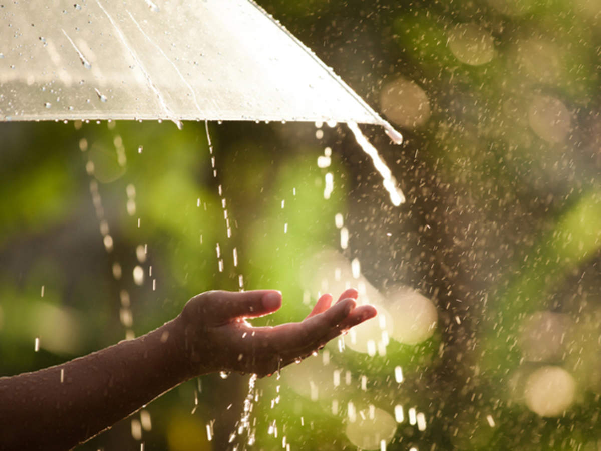 Heavy to Very Heavy Rainfall Likely at Isolated Places in the Several States