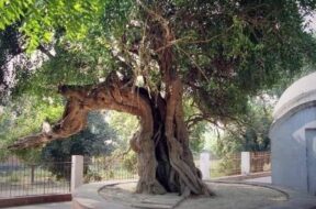 WhatsApp Image 2021-09-03 at 5.22.40 PM