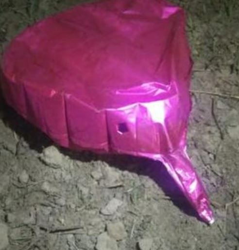 पंजाब के गुरदासपुर में बीएसएफ ने पाकिस्तानी गुब्बारा मार गिराया