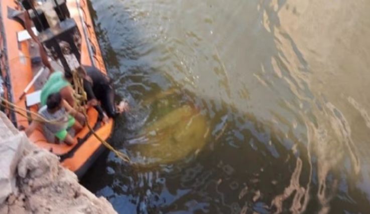 कोटा में दर्दनाक हादसा : चंबल नदी में गिरी कार, दूल्हा समेत 9 लोगों की मौत