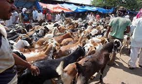 उत्तराखंड : बकरीद पर हरिद्वार में कुर्बानी पर रोक नहीं होगी, हाई कोर्ट ने पलटा सरकारी आदेश