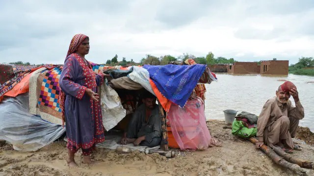 पाकिस्तान में बारिश ने मचाई तबाही, बाढ़ से अब तक 937 लोगों की मौत, पीएम ने की राष्ट्रीय आपातकाल की घोषणा