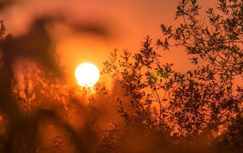 वैश्विक औसत से लगभग दोगुना गर्म हो रहा पश्चिम एशियाई क्षेत्र, विनाशकारी प्रभाव पड़ने की आशंका