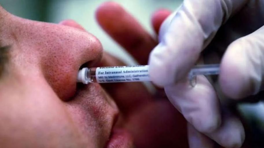 भारत में पहली नेजल कोविड वैक्सीन को इस्तेमाल की मंजूरी, नाक से दिया जा सकेगा भारत बायोटेक का टीका