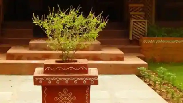 Tulsi Vivah 2022: तुलसी पूजा से प्रसन्न होती हैं मां लक्ष्मी, कार्तिक में तुलसी विवाह पर करें व्रत