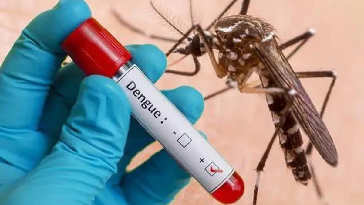 यूपी में बेकाबू हुआ डेंगू, ठीक होने के बाद प्लेटलेट्स हो रहे कम, अबतक नौ हजार से अध‍िक मामले