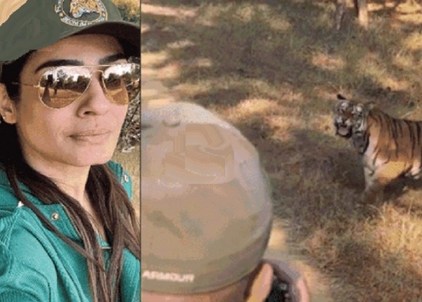 फिल्म अभिनेत्री रवीना टंडन ने बाघ के पास जाकर खींचे फोटो, वीडियो वायरल होने पर दिए गए जांच के निर्देश