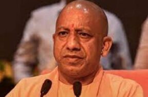 WhatsApp Image 2023-03-25 at 10.31.55 AM