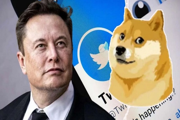 एलन मस्क ने Twitter का लोगो DOGE में बदला, एक घंटे में क्रिप्टो करेंसी में 30 फीसदी का उछाल