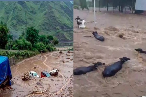 गुजरात : जूनागढ़ के बाढ़ प्रभावित इलाकों में पहुंची NDRF टीम, चलाया गया रेस्क्यू ऑपरेशन
