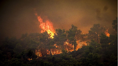 हवाई के माउ में जंगल में लगी आग में मृतक संख्या बढ़कर 53 हुई : गवर्नर
