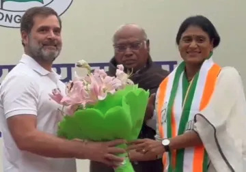 कांग्रेस में शामिल हुईं वाईएसआर तेलंगाना पार्टी की नेता YS शर्मिला, मिल सकता है बड़ा पद