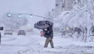 WhatsApp Image 2024-01-15 at 10.01.08 AM