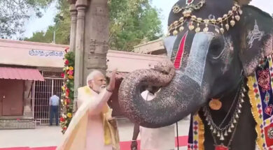 WhatsApp Image 2024-01-20 at 1.09.24 PM