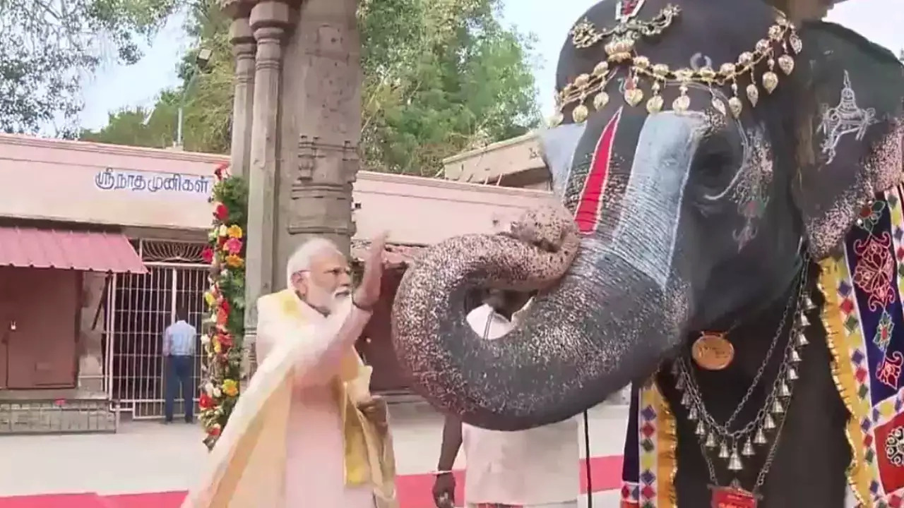 प्रधानमंत्री मोदी ने तमिलनाडु के श्रीरंगम मंदिर में की पूजा-अर्चना, हाथी को गुड़ खिलाकर लिया आशीर्वाद