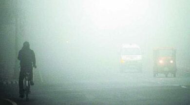 WhatsApp Image 2024-01-29 at 10.47.35 AM