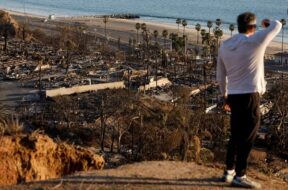 कैलिफोर्निया के जंगल में आग