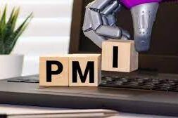 pmi