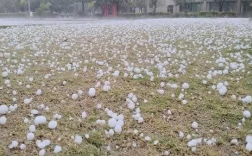 यूपी में आंधी-पानी से फसलों को नुकसान, सीएम योगी ने अधिकारियों को जारी किए आदेश, किसानों को दिया भरोसा