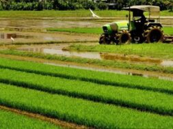 क्रिसिस की रिपोर्ट