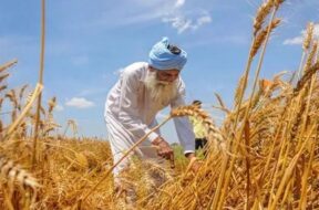 खरीफ फसलों के एमएसपी में वृद्धि