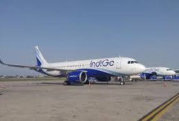 INDOGO PLAN