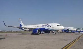 INDOGO PLAN