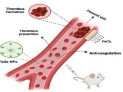 नैनो पार्टिकल्स