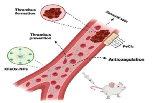 IIT-BHU के वैज्ञानिकों ने विकसित किए खून के थक्के बनने से रोकने वाले नैनो पार्टिकल्स