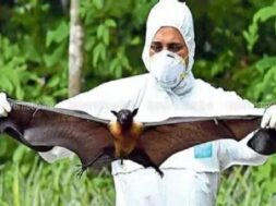 निपाह वायरस