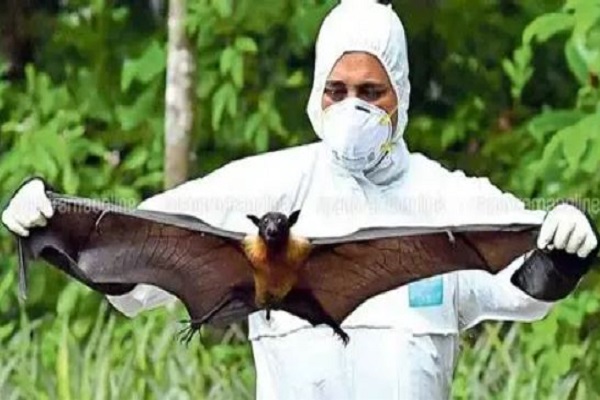 केरल में निपाह वायरस से और एक शख्स की मौत, स्वास्थ्य विभाग ने जारी किया अलर्ट