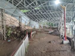 अर्धकुवारी