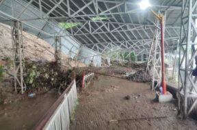 अर्धकुवारी