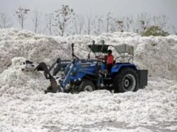 कपास पर आयात शुल्क छूट बढ़ी