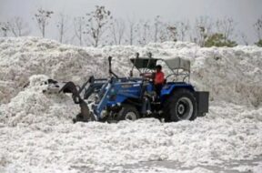 कपास पर आयात शुल्क छूट बढ़ी