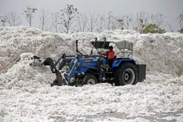 राहत : केंद्र सरकार ने कपास पर आयात शुल्क छूट को 31 दिसम्बर तक बढ़ाया
