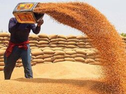 गेहूं पर केंद्र का निर्णय