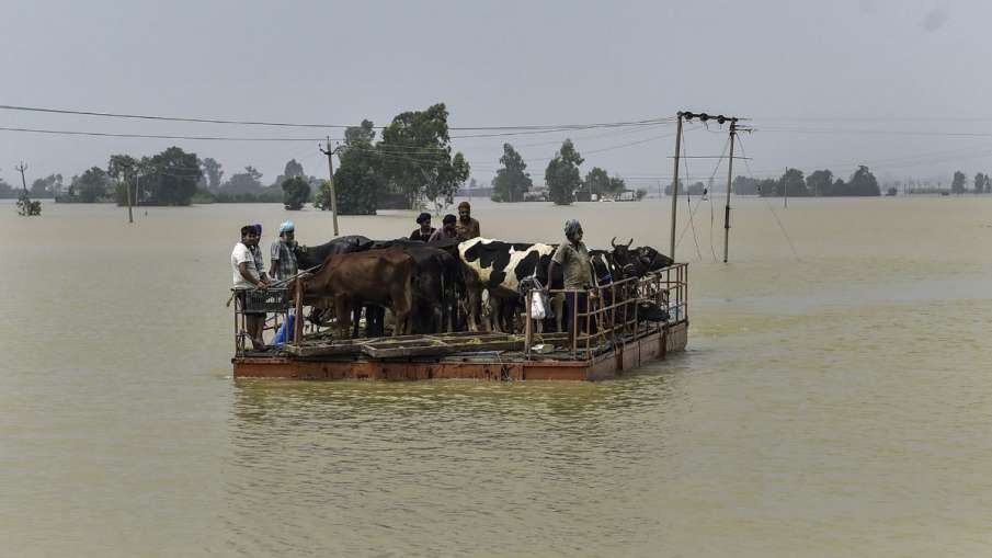 मॉनसून की तेज रफ्तार ने उत्तर भारत में मचाई तबाही, उत्तराखंड समेत कई राज्यों में जनजीवन अस्त-व्यस्त