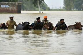 पंजाब में बाढ़