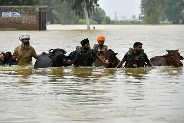 पंजाब से लेकर दिल्ली-यूपी तक बारिश से तबाही : पंजाब आपदाग्रस्त घोषित, 30 लोगों की मौत